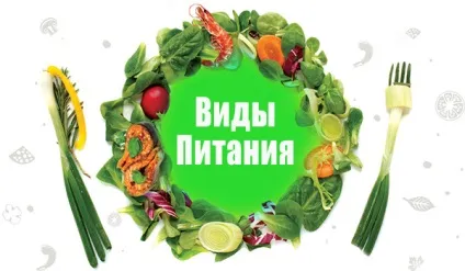 Види харчування для людини (які бувають опис) (види) Види харчування для людини (які бувають опис)