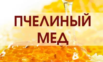Види медоносної трави