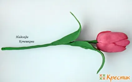 Весняні квіти - тюльпани - з полімерної глини або холодного фарфору (порцеляни) Весняні квіти - тюльпани - з полімерної глини або холодного фарфору