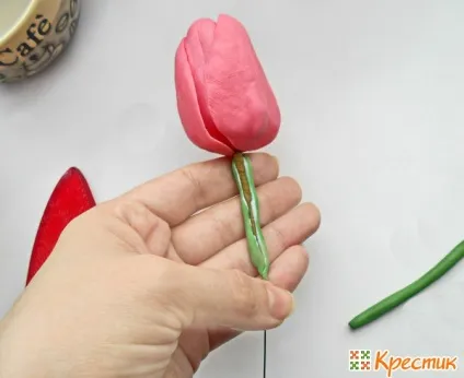 Весняні квіти - тюльпани - з полімерної глини або холодного фарфору (глини) Весняні квіти - тюльпани - з полімерної глини або холодного фарфору
