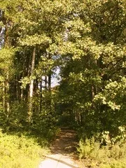 Виставки собак в Харкові (всесвіту волохатих чотириногих друзів) Виставки собак в Харкові