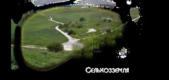 Вирощування фруктів як бізнес персиків, яблук, абрикосів, садівничий бізнес (фруктовий бізнес вирощування фруктів як бізнес вирощування апельсинів яблук груш персиків купити саджанці абрикос варення джем садівничий бізнес вирощування плодових дерев) Вирощування фруктів як бізнес персиків, яблук, абрикосів, садівничий бізнес