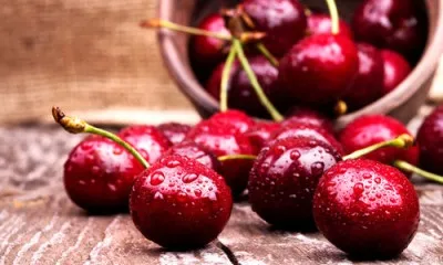 Вишня сорту для середньої полосиУкаіни, посадка і догляд (смуги) Вишня сорту для середньої полосиУкаіни, посадка і догляд