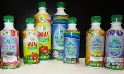 Вирощування бульбової бегонії з насіння - правильний алгоритм відео (насіння) Вирощування бульбової бегонії з насіння - правильний алгоритм відео
