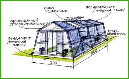 Вирощування хризантеми в теплиці на зріз - все про теплиці (хризантеми) Вирощування хризантеми в теплиці на зріз - все про теплиці