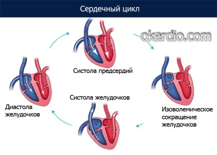 Висока верхній тиск при нормальному нижньому причини і лікування (тиск) Висока верхній тиск при нормальному нижньому причини і лікування