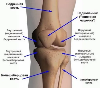 Вивих надколінка (звичний і постійно існуючий) симптоми, лікування, наслідки (постійно) Вивих надколінка (звичний і постійно існуючий) симптоми, лікування, наслідки
