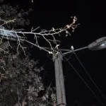 У дворі немає світла, куди звертатися (куди) У дворі немає світла, куди звертатися