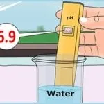 Вплив жорсткої води на організм людини (організм) Вплив жорсткої води на організм людини