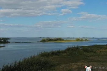 волзькі булгари