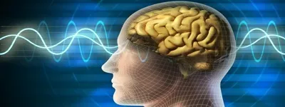 Вплив шуму, вплив звуку, вплив інфразвуку на людину (здоров'я) Вплив шуму, вплив звуку, вплив інфразвуку на людину