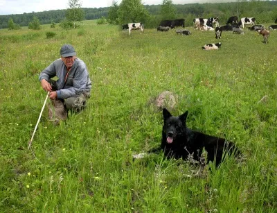 Володимир Крупін - пастух і пастушка, журнал Український дім (пастушка) Володимир Крупін - пастух і пастушка, журнал Український дім
