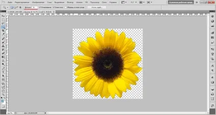 Чарівна паличка в фотошопі (паличка) Чарівна паличка в фотошопі