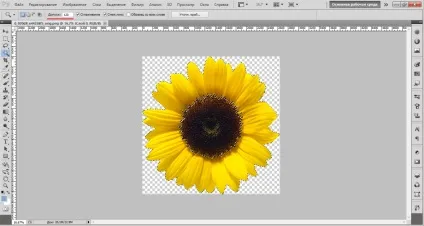Чарівна паличка в фотошопі (чарівна) Чарівна паличка в фотошопі