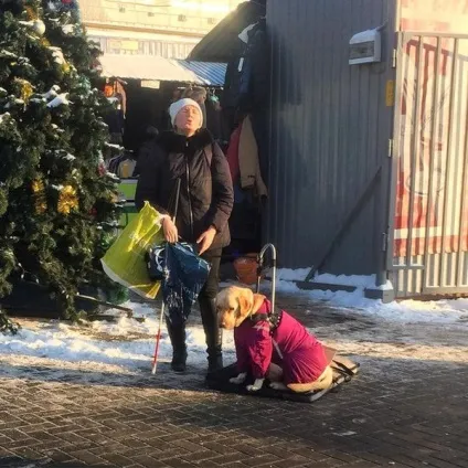 Злодійка сіла в тюрму або жебрак посадила людини, що врятував її собаку (людини) Злодійка сіла в тюрму або жебрак посадила людини, що врятував її собаку
