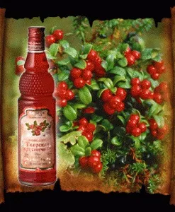 брусничная настоянка
