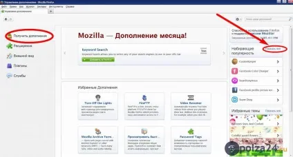Браузер mozilla firefox - основні можливості та налаштування, користь-24 (браузер) Браузер mozilla firefox - основні можливості та налаштування, користь-24