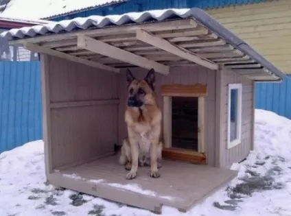 Будки для собак
