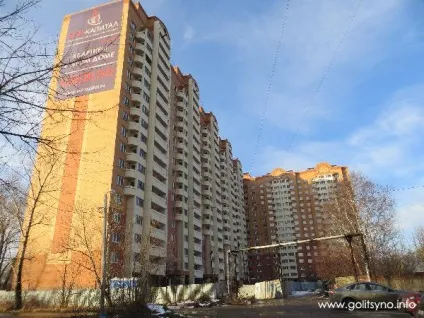 Майбутнє Голіцино за міським округом