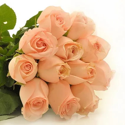 Букети нареченої з персиковими квітами фото приклади (квітами) Букети нареченої з персиковими квітами фото приклади