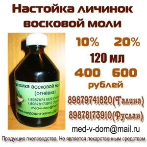 Воскова міль при туберкульозі