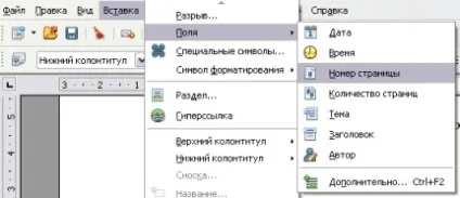 Вставка номерів сторінок в r (поле номером сторінки) Вставка номерів сторінок в r