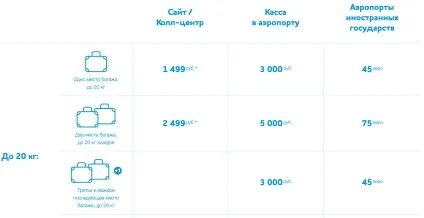 Все про багажі та ручній поклажі на рейсах авіакомпанії - перемога (ручний) Все про багажі та ручній поклажі на рейсах авіакомпанії - перемога
