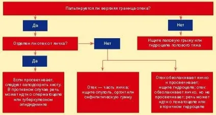 Запалення мошонки наслідки і профілактика (наслідки) Запалення мошонки наслідки і профілактика