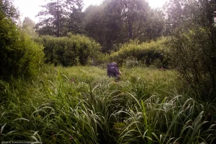 В Прип'ять НЕ легально - чорнобильська зона очима сталкера (Прип'ять нелегально) В Прип'ять НЕ легально - чорнобильська зона очима сталкера