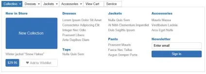 Wysiwy web builder 11