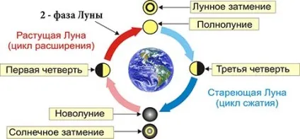 Друга фаза або перша чверть місяця - вплив на людину, рекомендації, факти (чверть) Друга фаза або перша чверть місяця - вплив на людину, рекомендації, факти