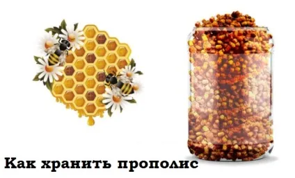 Зберігання прополісу в домашніх умовах (свої лікувальні властивості) Зберігання прополісу в домашніх умовах