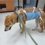 доробок машину