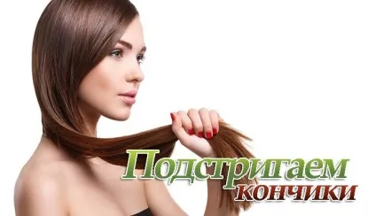 Навіщо підстригати кінчики волосся і як це зробити правильно (підстригати) Навіщо підстригати кінчики волосся і як це зробити правильно