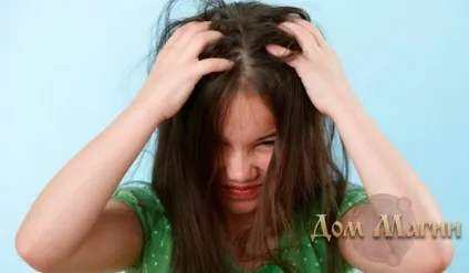 Змова від вошей