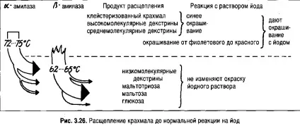 Затирання - найважливіший процес при виробництві сусла