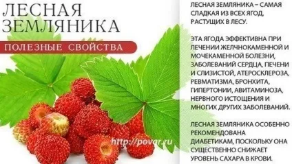 Суниця лісова і лугова - корисні властивості рослини для нашого здоров'я, лікування в домашніх (ложка листя окропу) Суниця лісова і лугова - корисні властивості рослини для нашого здоров'я, лікування в домашніх