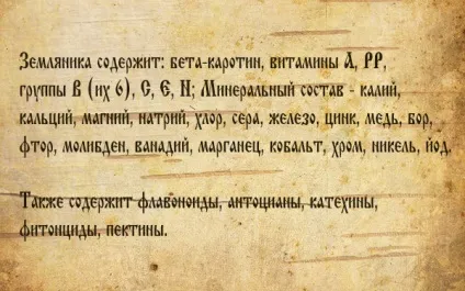 Суниця лісова і лугова - корисні властивості рослини для нашого здоров'я, лікування в домашніх (властивості) Суниця лісова і лугова - корисні властивості рослини для нашого здоров'я, лікування в домашніх