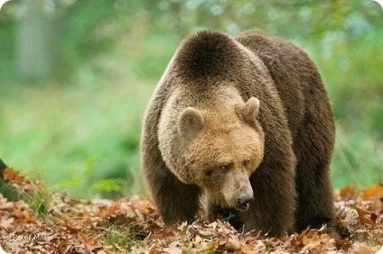 Шкода, що не можна зупинити час і повернути все назад, щоб исправ (щоб) Шкода, що не можна зупинити час і повернути все назад, щоб исправ