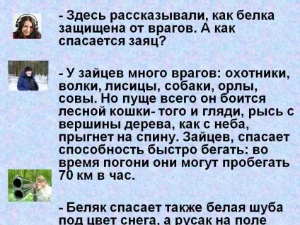 Тут розповідали, як білка захищена від ворогів - презентація 14435-14 (білка) Тут розповідали, як білка захищена від ворогів - презентація 14435-14