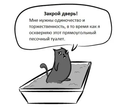 Завести кота або дитину