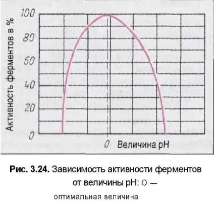 Затирання - найважливіший процес при виробництві сусла