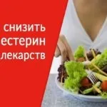 Живиця ялинова - застосування, лікувальні властивості, де купити (лікувальні) Живиця ялинова - застосування, лікувальні властивості, де купити