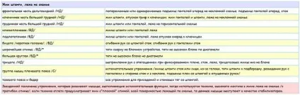 Жим штанги лежачи все, що потрібно знати перед тренуванням (потрібно) Жим штанги лежачи все, що потрібно знати перед тренуванням