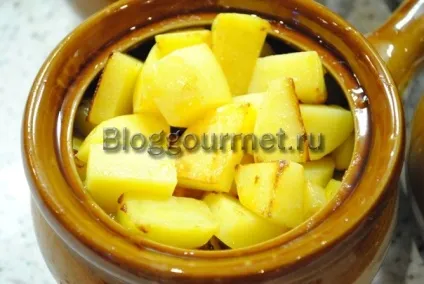 Печеня в горщиках з куркою і картоплею в духовці рецепт з фото (куркою) Печеня в горщиках з куркою і картоплею в духовці рецепт з фото