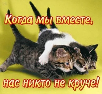 зоряна країна
