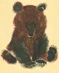 Чарушин евгений иванович (1901-1965)