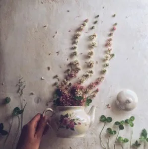 Чай, кава і квіти, artотека їжі