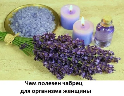 Чебрець корисні властивості для жінок, сайт про методи лікування докторів Неумивакіна, Болотова, огулова (лікування раку народними засобами) Чебрець корисні властивості для жінок, сайт про методи лікування докторів Неумивакіна, Болотова, огулова