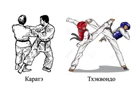 Чим карате відрізняється від тхеквондо